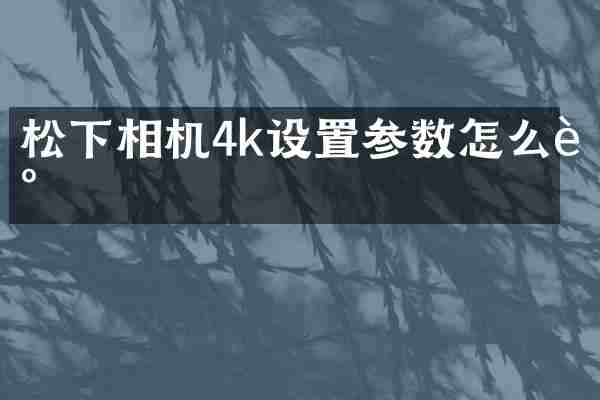 相机4k设置参数怎么调