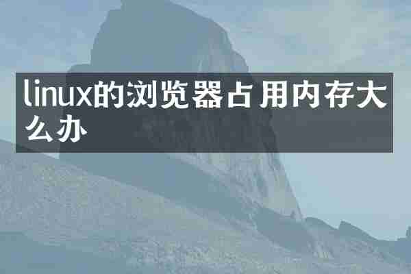 linux的浏览器占用内存大怎么办