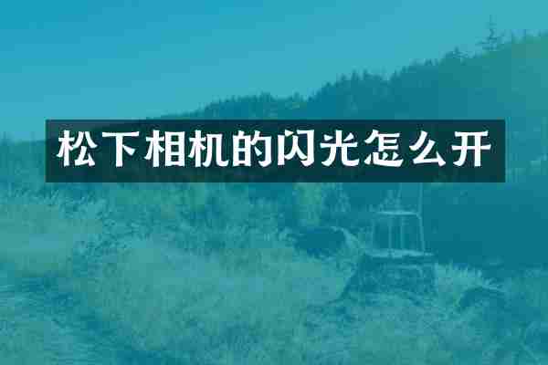 相机的闪光怎么开