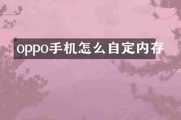 oppo手机怎么自定内存