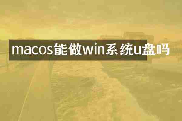 macos能做win系统u盘吗