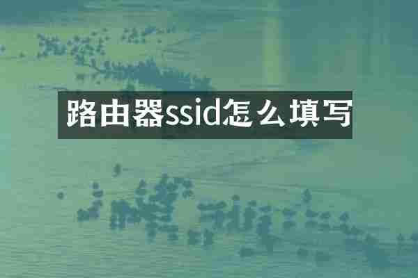 路由器ssid怎么填写