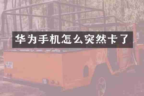 华为手机怎么突然卡了