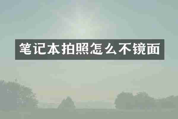 笔记本拍照怎么不镜面