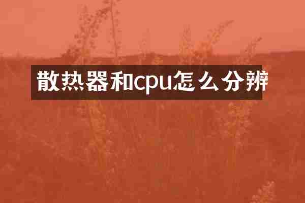 散热器和cpu怎么分辨