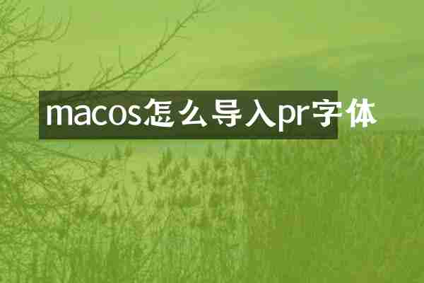 macos怎么导入pr字体