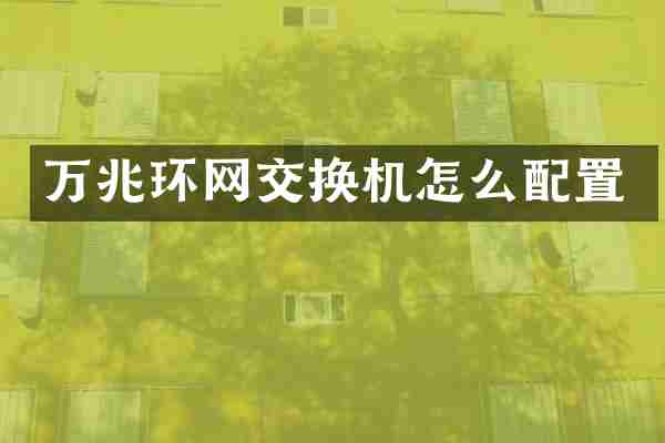 万兆环网交换机怎么配置