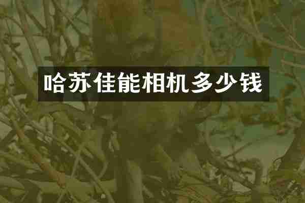 哈苏佳能相机多少钱