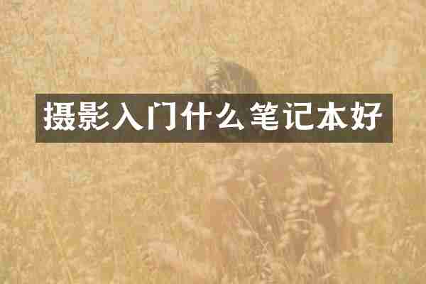 摄影入门什么笔记本好