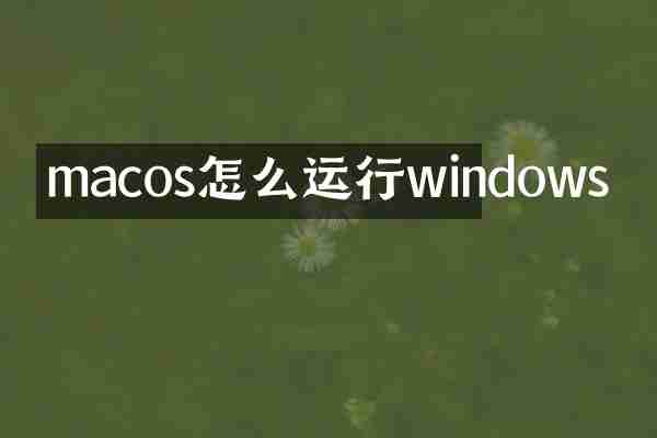 macos怎么运行windows