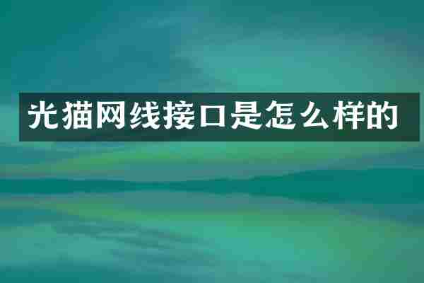 光猫网线接口是怎么样的