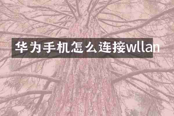 华为手机怎么连接wllan