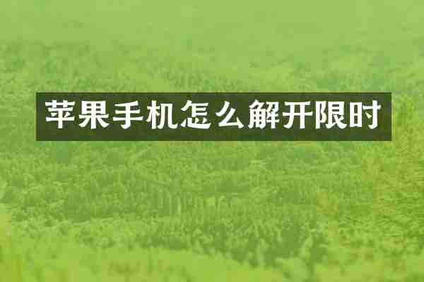 苹果手机怎么解开限时