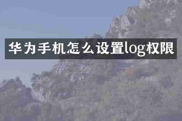 华为手机怎么设置log权限