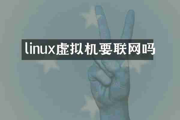 linux虚拟机要联网吗