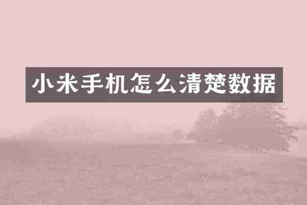 小米手机怎么清楚数据