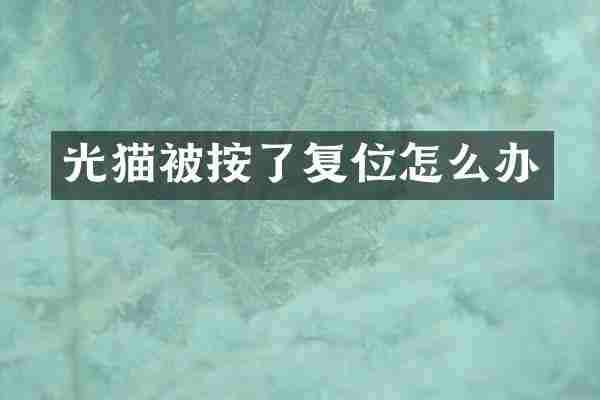 光猫被按了复位怎么办