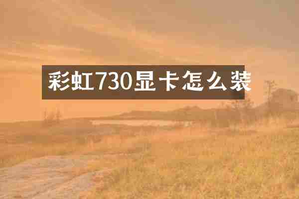 彩虹730显卡怎么装