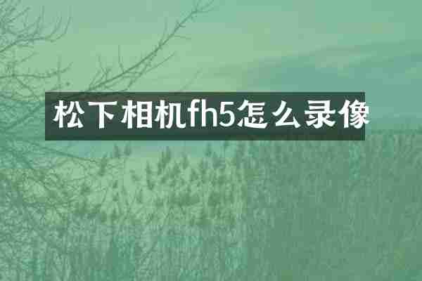 相机fh5怎么录像