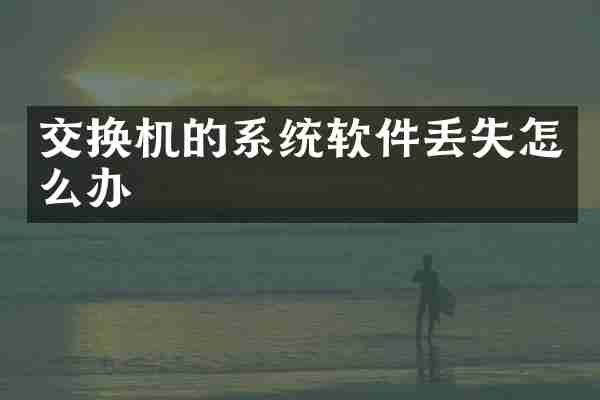 交换机的系统软件丢失怎么办