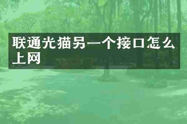 联通光猫另一个接口怎么上网