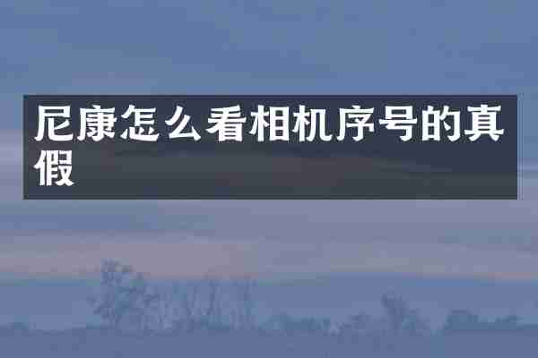 尼康怎么看相机序号的真假