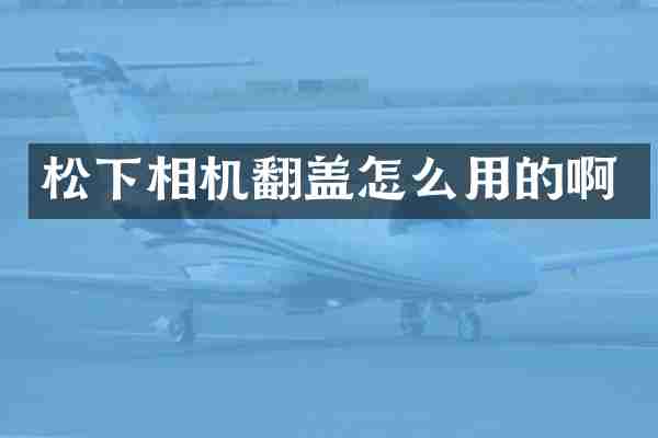 松下相机翻盖怎么用的啊