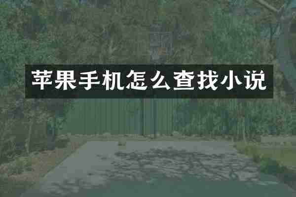 苹果手机怎么查说