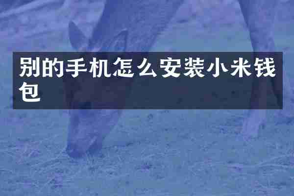 别的手机怎么安装小米钱包