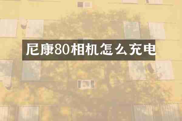 尼康80相机怎么充电