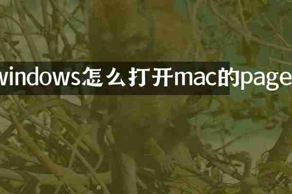 windows怎么打开mac的pages