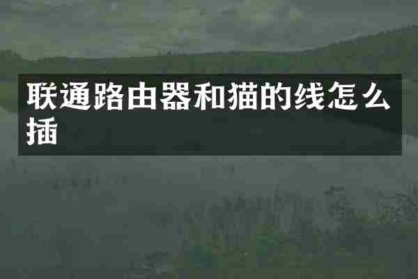联通路由器和猫的线怎么插