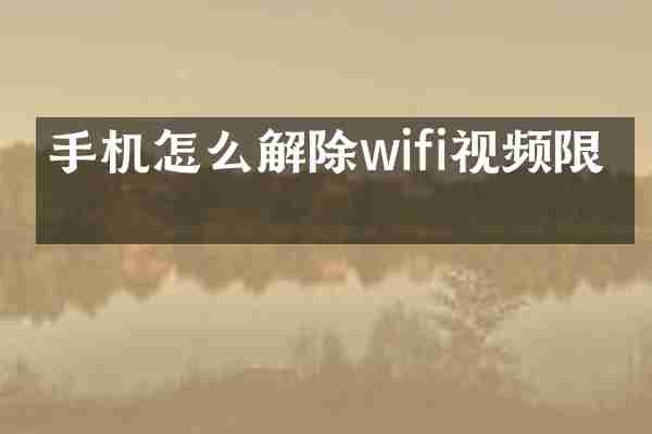 手机怎么解除wifi视频限制