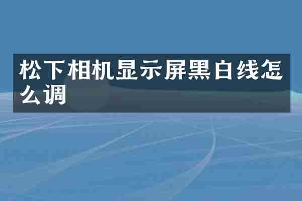 松下相机显示屏黑白线怎么调