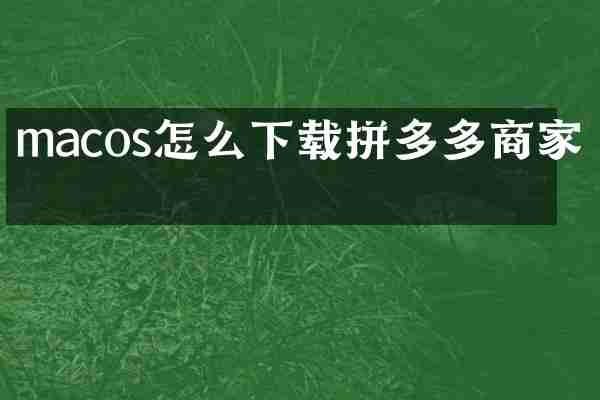 macos怎么下载拼多多商家版