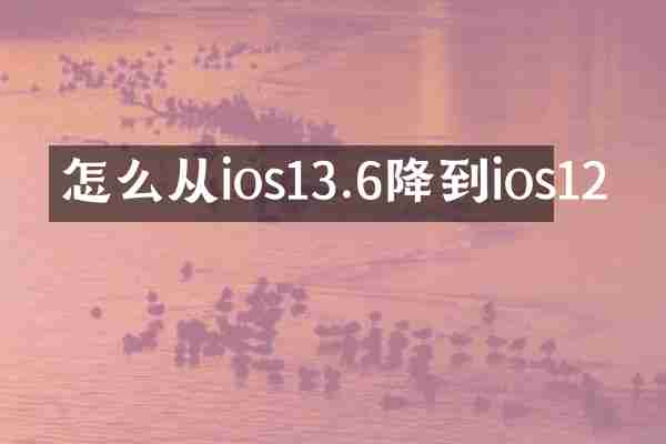 怎么从ios13.6降到ios12