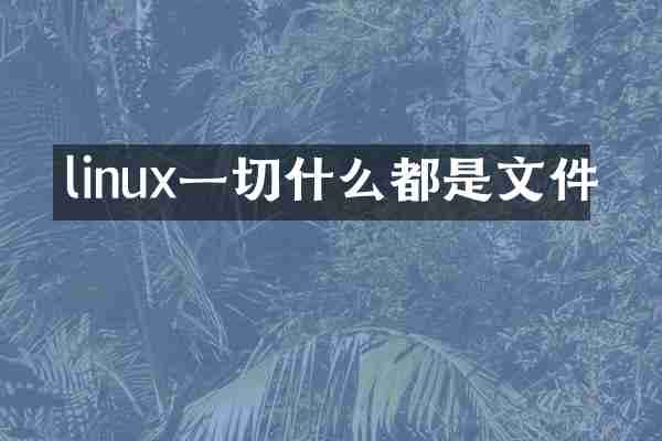 linux一切什么都是文件