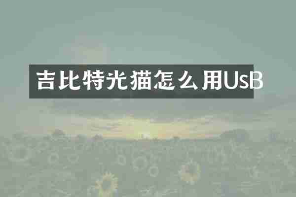 吉比特光猫怎么用UsB