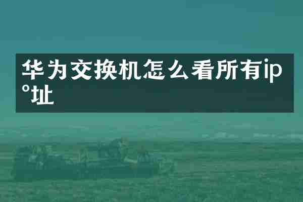 华为交换机怎么看所有ip地址