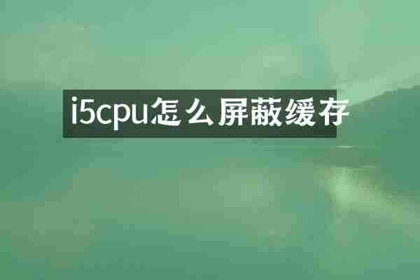 i5cpu怎么屏蔽缓存