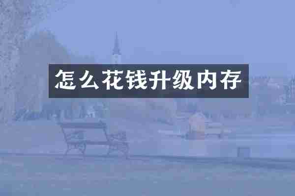 怎么花钱升级内存