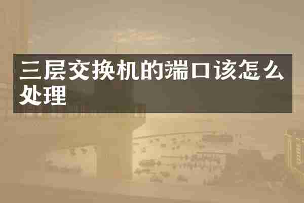 三层交换机的端口该怎么处理