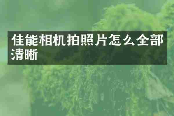 佳能相机拍照片怎么全部清晰