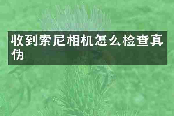 收到索尼相机怎么检查真伪
