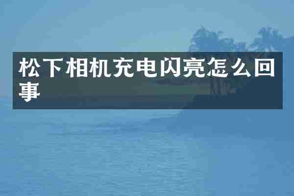 松下相机充电闪亮怎么回事
