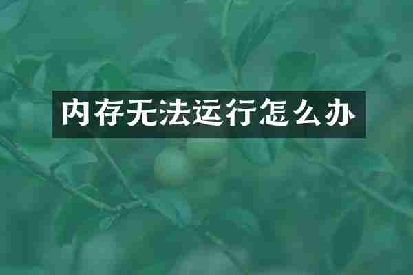 内存无法运行怎么办