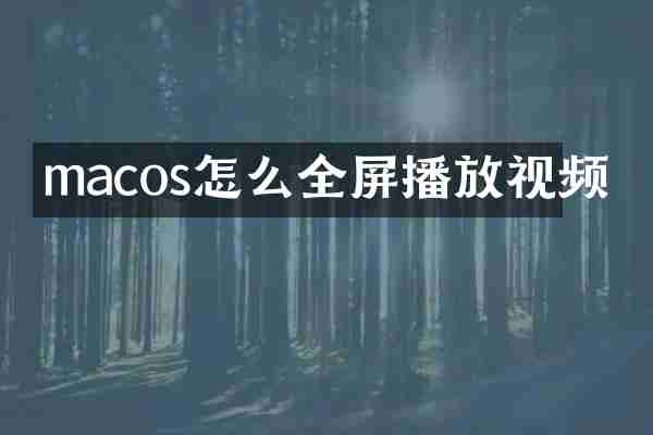 macos怎么全屏播放视频