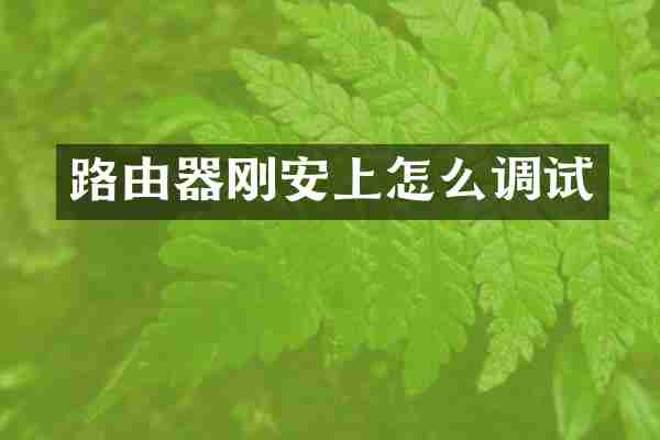 路由器刚安上怎么调试