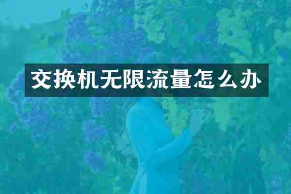 交换机无限流量怎么办