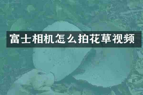 富士相机怎么拍花草视频